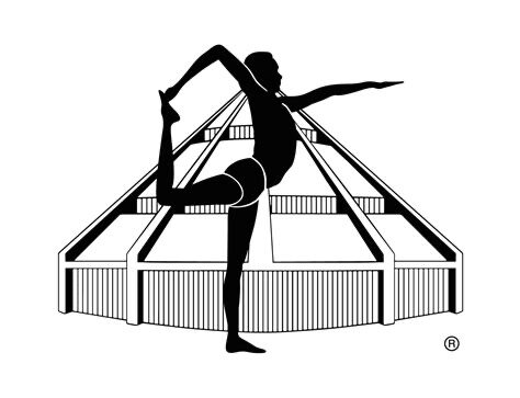 Certified Iyengar Yoga Teacher mark